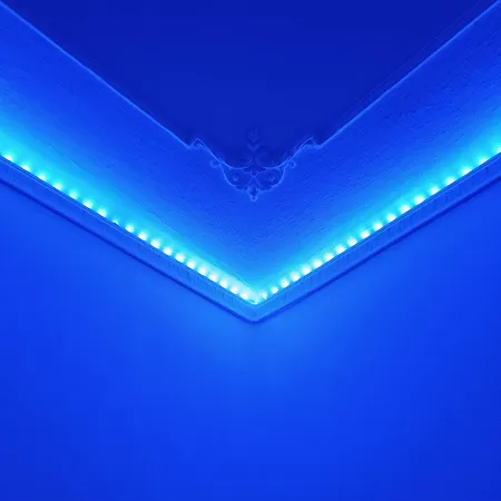 Blue House * Βιτσέντζα